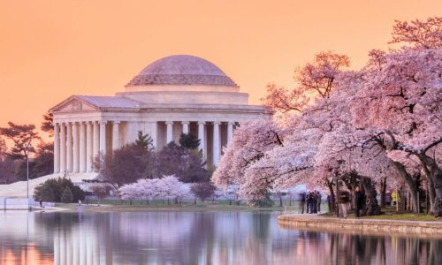 Washington DC tour.